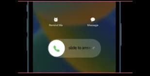 5. Contacto do vendedor